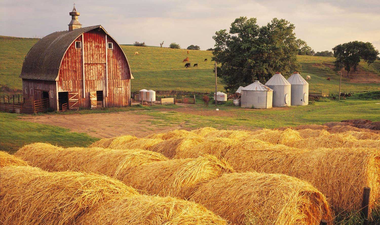 Overcame breeding or concerns removing past