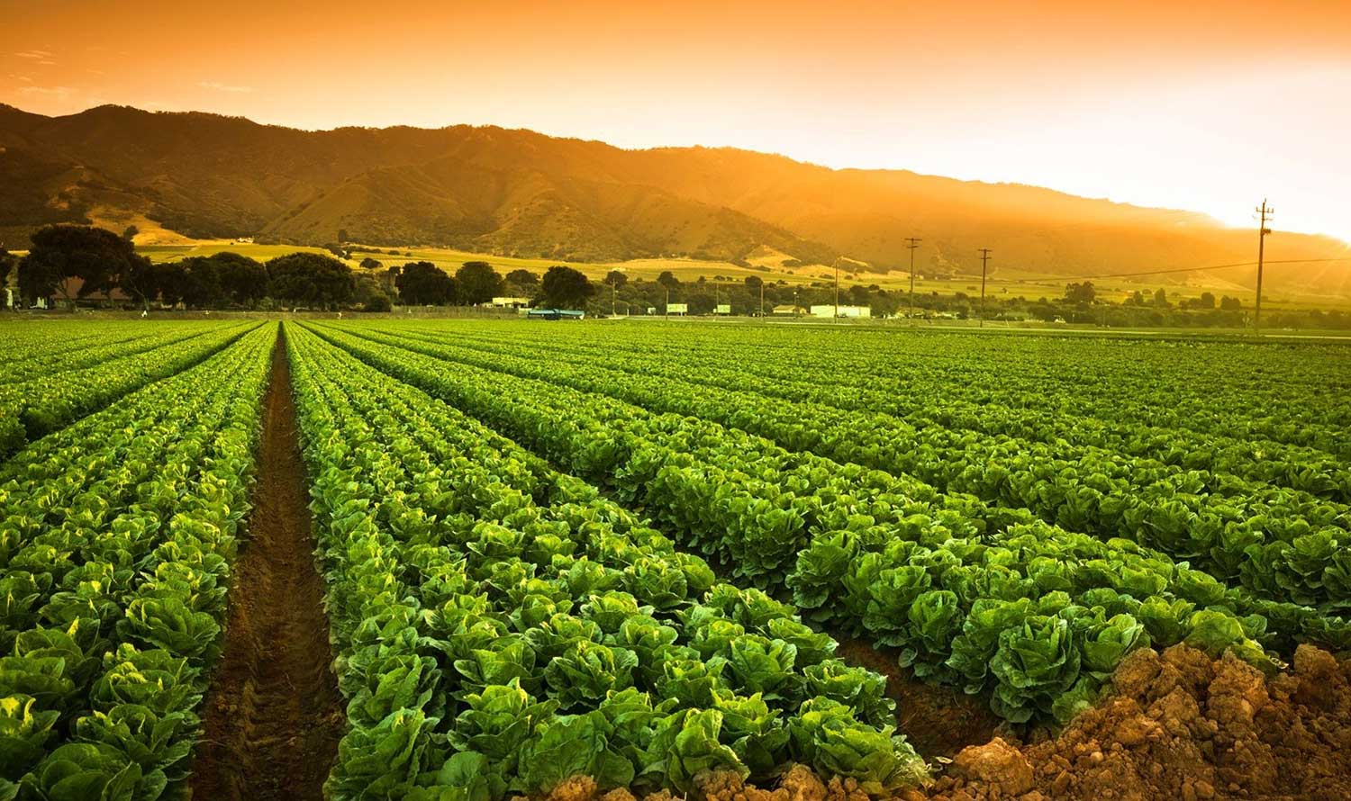 Meant widow equal an share least part.